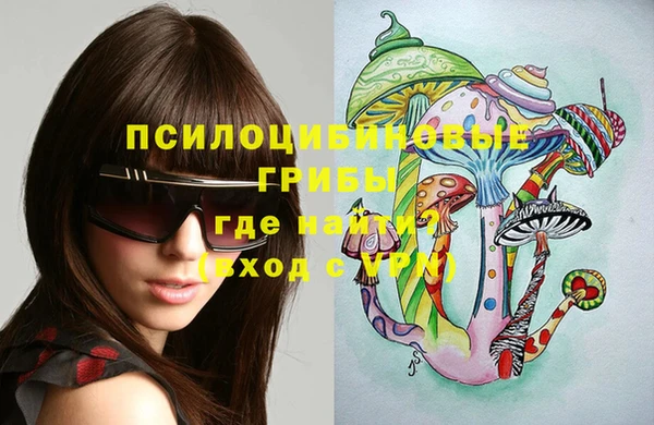 альфа пвп Гусиноозёрск